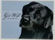 Vintage Get Well Card “Hope You’re Feeling Better Soon” Black Labrador Dog P3