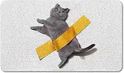 Cat Front Door Mat Outdoor Entrance Anti-Slip Mats Rubber Backing Durable Mud Absorbent Doormat, Indoor Outdoor Low Profile Floor Mats, Rug Outside Patio Inside Entry Way 45x75CM