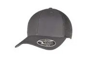 Flexfit Unisex Adult 110 Mesh Trucker Cap (Charcoal) (One Size)
