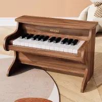 在飛比找蝦皮購物優惠-迷你小鋼琴 兒童玩具 木製仿真鋼琴可以彈25琴鍵 培養音樂細