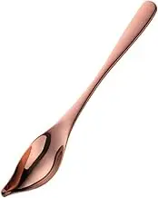 BIUDECO Ergonomic Sauce Spoon Stainless Steel Spice Scoop Rounded Edge Non-Slip Grip for Measuring Oil Sauce Condiments Home Restaurant