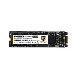 【AITC 艾格】FM250_512GB M.2 SATA SSD 固態硬碟(讀：560M/寫：500M)