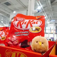在飛比找蝦皮商城精選優惠-COSTCO 雀巢 奇巧 Nestle KitKat Min