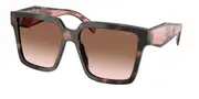Prada PR 24ZS 23A0A6 Men's Sunglasses Tortoiseshell Size 56