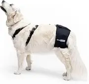 Hip Brace - Support for Dog - Hip Pain, Dysplasia or Localized Osteoarthritis - Stabilizes and Reduces Pain - Made of ARD Neoprene - Size XS 38-51 cm