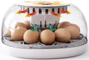 Premium Egg Incubator, Automatic Egg Hatching Incubator, 12 Eggs Poultry Hatcher