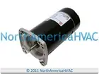 US Motors Nidec SQ Flange Pool Pump Motor 1.0 HP Fits 8-168452-04 8-168452-20