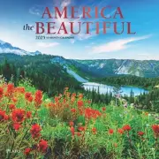 BrownTrout, America Beautiful Square Plato Foil 2025 Wall Calendar