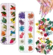 2 Boxes Dried Flowers for Nail Art,4 Colors Dry Flowers Mini Real Natural Flo...