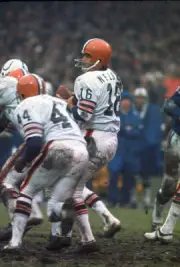 Bill Nelsen Of The Cleveland Browns Drops Back To Pass 1971 NFL OLD PHOTO 2