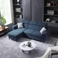 在飛比找momo購物網優惠-【FL 滿屋生活】FL Chill Sofa Bed - 多