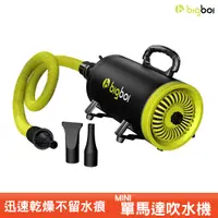 在飛比找蝦皮商城優惠-『bigboi 寵物單馬達吹水機-MINI』 吹風機 吹水機