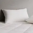 Deluxe Feather & Down Latex Pillow