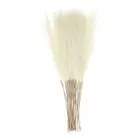 20pcs Dried Faux Pampas Grass 21" Artificial Pampas Grass Decor Beige