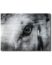 Ready2HangArt Equestrian Saddle Ink PSXII Canvas Wall Art