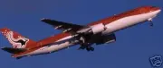 B-767 Australian Airlines Airplane Wood Model Free Ship