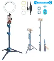 LINCO 10" Ring Light Selfie Stick Tripod with Bluetooth Remote & Phone Holder