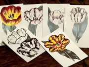 Vintage Botanical Illustrations, Ephemera Kit, Junk Journal Flower Kit, Vintage