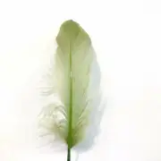 Goose Nagoire Feathers 10 grams - Olive