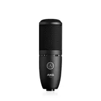 在飛比找蝦皮購物優惠-【傑夫樂器行】AKG P-120 Perception P1