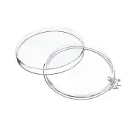 Air-Tite Coin Capsule Holders Y63 Direct Fit Qty: 3