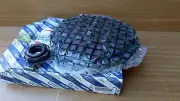 Clutch Kit for Fiat Palio Punto Diesel 71729191 OEM