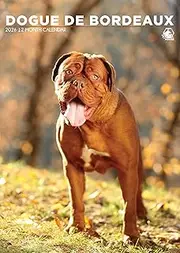 Dogue De Bordeaux Calendar 2026 – A Majestic Tribute to the Noble Breed