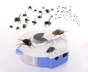 Fly Trap, Fly Catcher for House Flies, for Outdoor/Indoor Parties and cookouts(USB Powered)