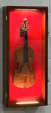 Ukulele Display Case LED Violin Fiddle Mandolin Walnut Wood Cabinet Wall Rack