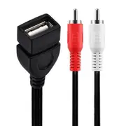 JUNSUNMAY 0.2m USB 2.0 Female to 2 RCA Male Video AV Converter Camcorder Audio Splitter Cable