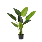 [Sleeping Giant] Bird of Paradise Potted Plant Green - 78cm x 78cm x 122cm