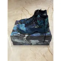 在飛比找蝦皮購物優惠-Air Jordan XX9 Year Of Goat