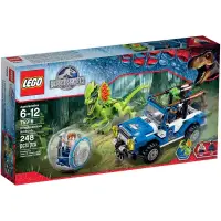 在飛比找蝦皮購物優惠-[快樂高手附發票] 公司貨 樂高 LEGO 75916 Ra