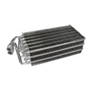 Rein A/C Evaporator Core for BMW ACE0056R (for: BMW)