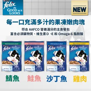 【贈品】Felix 貓咪主食餐包 成貓 鮭魚 85g