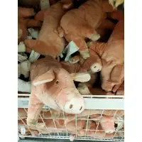 在飛比找蝦皮購物優惠-現貨 ikea代購 KNORRIG 填充玩具, 豬/粉紅色3