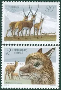 在飛比找Yahoo!奇摩拍賣優惠-野生動物郵票雕刻版2003-12 藏羚羊 集郵 收藏