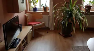 Kleine gemutliche Ferienwohnung