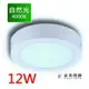 燈具燈飾【豪亮燈飾】LED 12W 吸頂燈 (自然光)~吊扇/燈泡/燈管/省電/LED燈泡/燈具/白光/黃光/客廳燈/房間燈/水晶燈/美術燈/吸頂燈/浴室燈/陽台燈/吊燈/壁燈/燈泡/崁燈/藝術燈/LOFT工業風