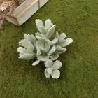 Artificial Succulent (Type 13) Faux Succulent Greenery DIY Terrarium Home Decor