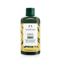 在飛比找誠品線上優惠-THE BODY SHOP 薑根鏗活調理洗髮精(250ml)