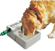 Pet Water Drinking Bowl Continuous Automatic Refill Fountain Dog Cat Bird Rabbit
