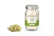 Sprout Jar Kit Mung Beans