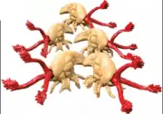 Halo Mega Construx Flood Infection Form Figures Clash On The Rings 217045HY