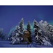 New Modern Treehouse With Hot Tub