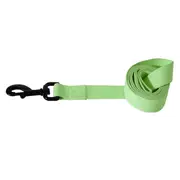 Aspen Pet Dog Lead Glow In The Dark Green