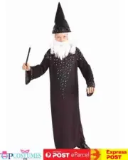Wizard Merlin Sorcerer Magician Medieval Halloween Child Boys Costume