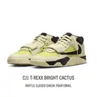 Jordan Jumpman Jack TR Cactus Jack Travis Scott CJ1 T-Rexx Bright Cactus Men’s 9