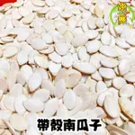 ［帶殼南瓜子］含殺菌烘烤｜鸚鵡飼料｜單一穀物