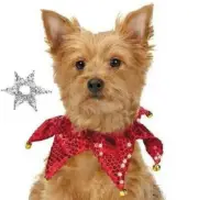 Aria Sequin Dog Scrunchy Red Simmer Pet Scrunchies Holiday Christmas